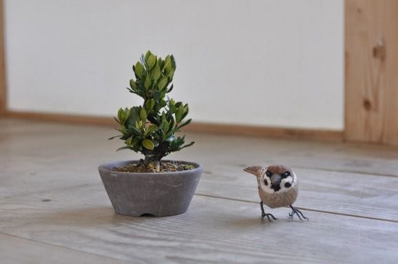 くちなし