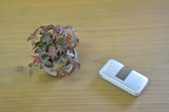 出猩々もみじ　1点もの　No.449