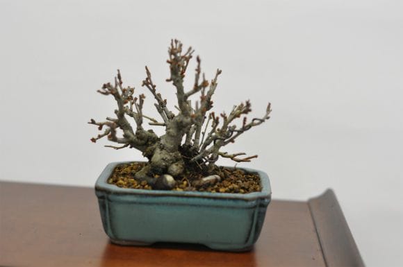 708_2.jpg?v=1700470935&width=1946