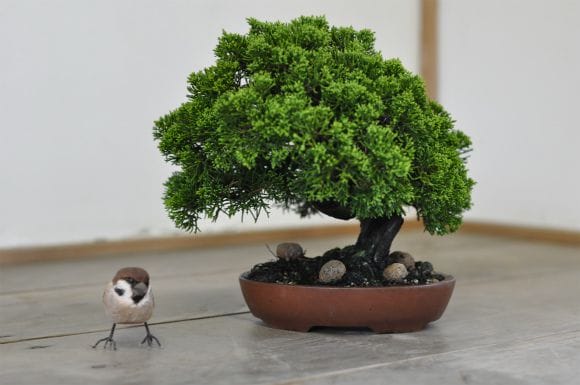 750_5.jpg?v=1700472297&width=1946