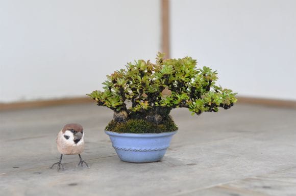 メギ　1点もの　No.555