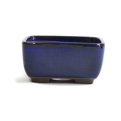 常滑焼の販売｜盆栽鉢の盆栽妙 – 盆栽妙 本店