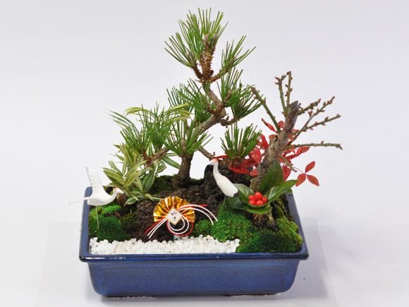 松竹梅の寄せ植え ちょうど良い大きさの7号サイズ お正月飾りの盆栽を