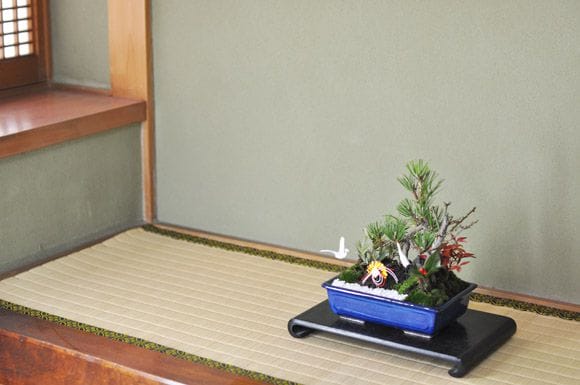松竹梅の寄せ植え ちょうど良い大きさの7号サイズ お正月飾りの盆栽を