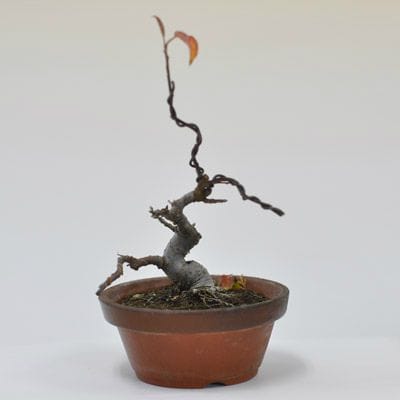 姫美好 1点もの　No.577