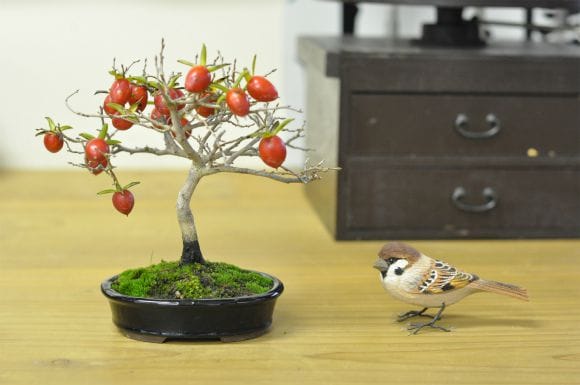 老爺柿 1点もの No.596の盆栽を販売｜はじめる盆栽妙 – 盆栽妙 本店